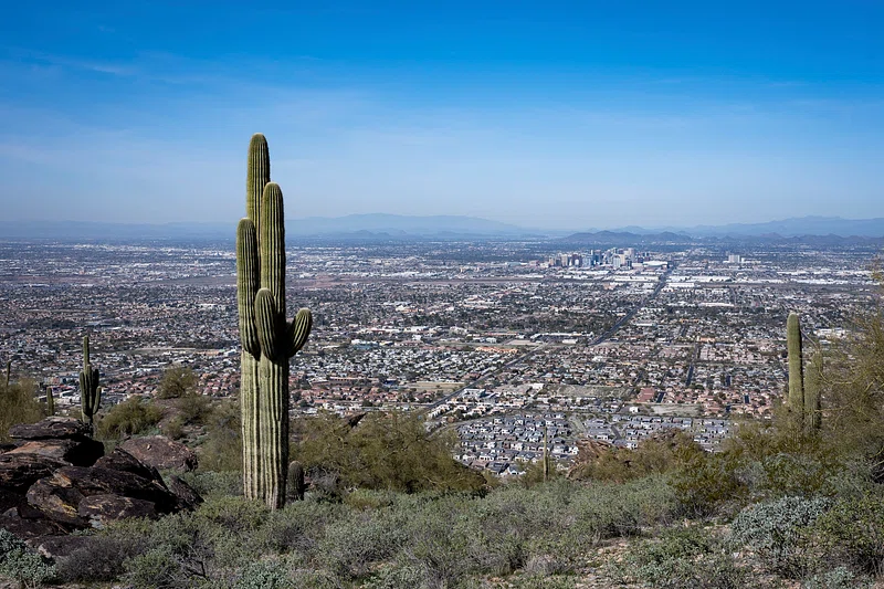 Phoenix Dumpster Rental